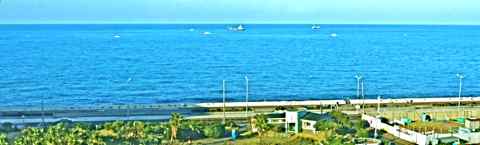 DSCF2315.jpg
